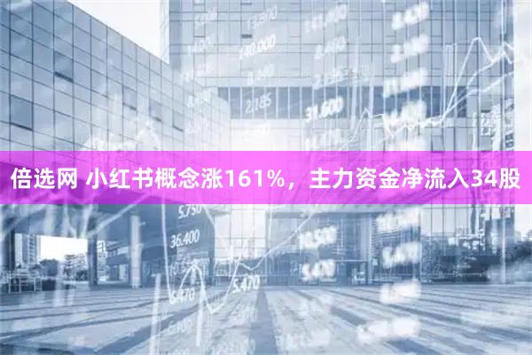 倍选网 小红书概念涨161%，主力资金净流入34股