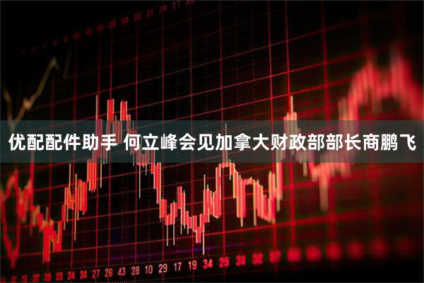优配配件助手 何立峰会见加拿大财政部部长商鹏飞