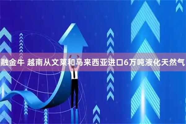 融金牛 越南从文莱和马来西亚进口6万吨液化天然气